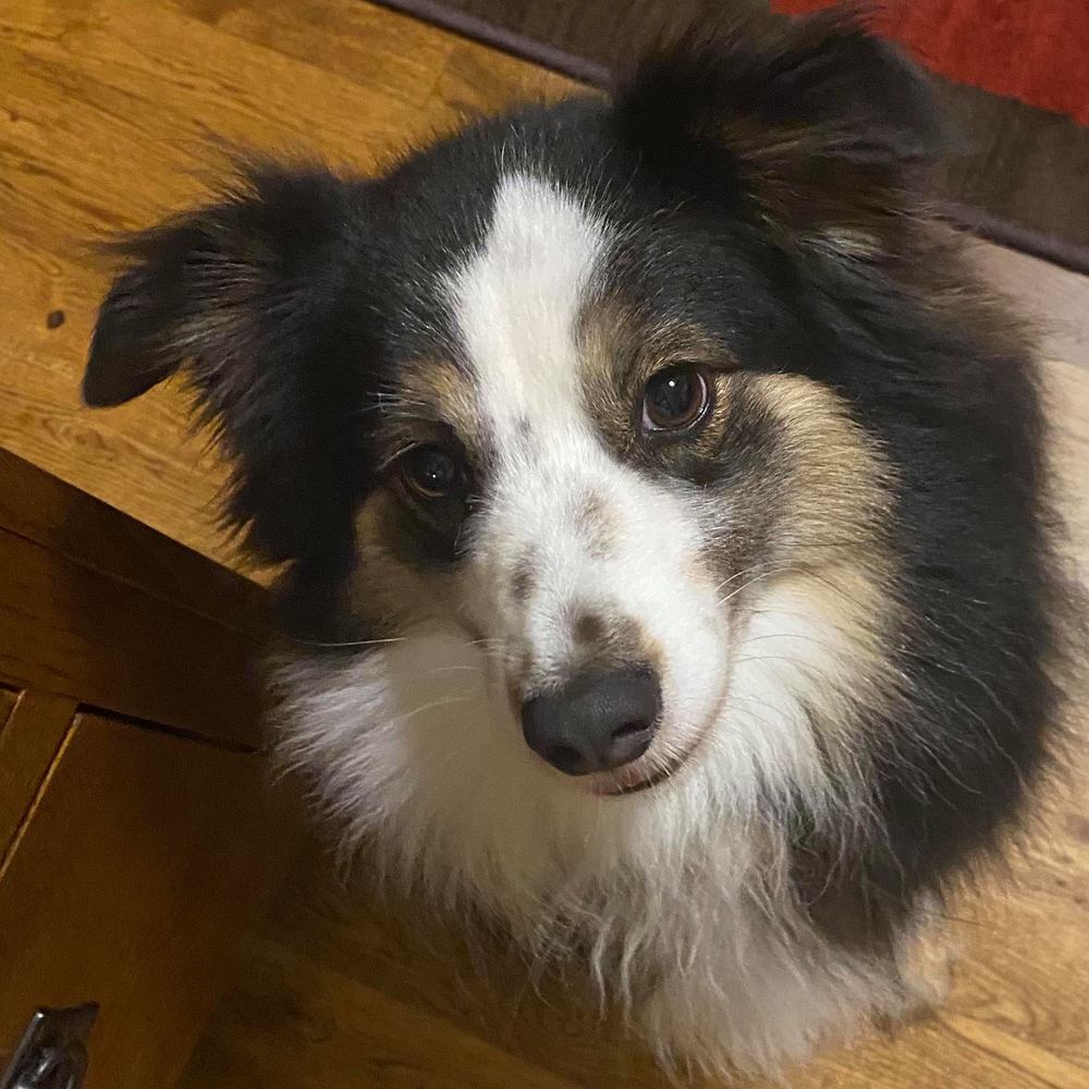 Meet your Posher, Rebecca carter